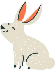 rabbit