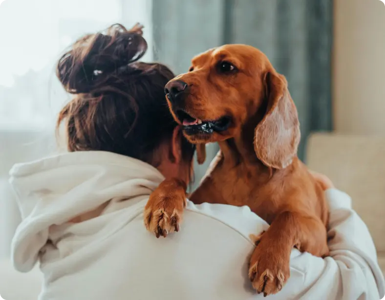 pets